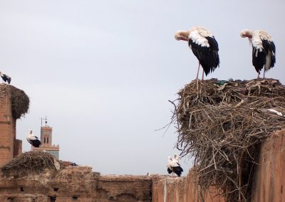 Mura Marrakech